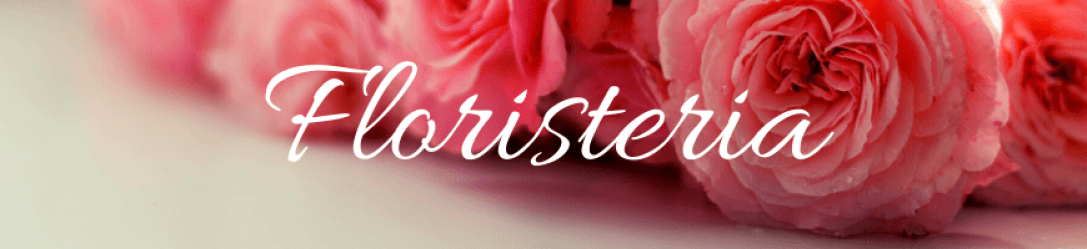 Nuevos Banners (6)-min